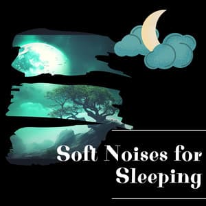 Night Sounds: Soft Noises for Sleeping - Night Sounds Channel