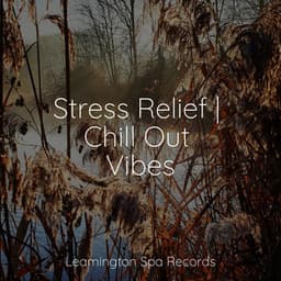 Stress Relief | Chill Out Vibes - Deep Horizon Waves