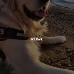 123 Bark! - Jazz Music Cafe