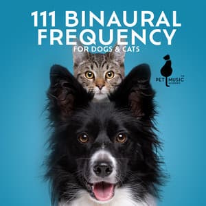 111 Binaural Frequency for Dogs & Cats - Pet Music Academy