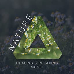Nature Healing & Relaxing Music - Nature Medicine, Imagination Booster - Deep Relaxation Exercises Academy