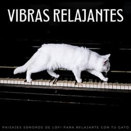 Vibras Relajantes: Paisajes Sonoros De Lofi Para Relajarte Con Tu Gato - Vibraciones lofi