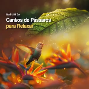 Cantos de Pássaros para Relaxar - Natureza