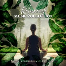 Relaxing Music Collection - Relaxing Musk Ox