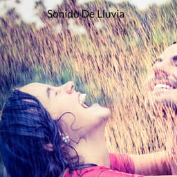 Sonido De Lluvia - Rain Sound
