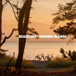Beach Mix - Summer Nights - Bar Lounge