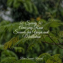 50 Spring 50 Amazing Rain Sounds for Yoga and Meditation - Spa Relaxation