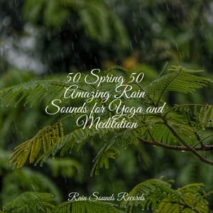 50 Spring 50 Amazing Rain Sounds for Yoga and Meditation - Spa Relaxation
