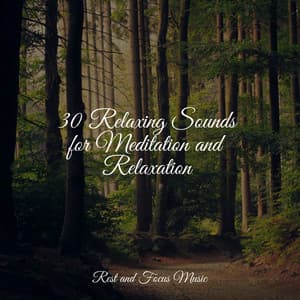 30 Relaxing Sounds for Meditation and Relaxation - Egyptian Meditation Temple