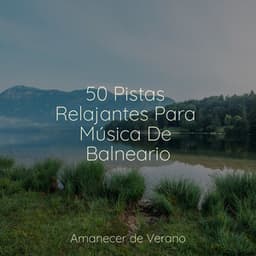50 Pistas Relajantes Para Música De Balneario - Musica romantica instrumental