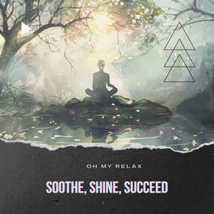Soothe, Shine, Succeed - Oh My Relax