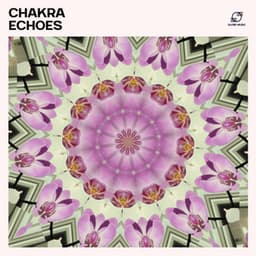 Chakra Echoes - Healing Frequencies