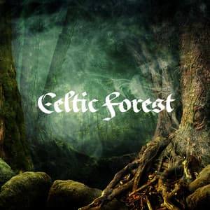 Celtic Forest: Music for Relaxation - Celtic Music Voyages