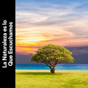 La Naturaleza Es Lo Que Escuchamos - Sonidos de la Naturaleza para Dormir