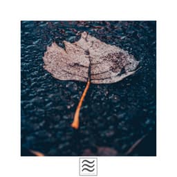 Peaceful Sounds of Calming Noises and Raining with Bowls - Sleep Hunters