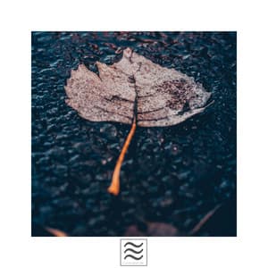 Peaceful Sounds of Calming Noises and Raining with Bowls - Sleep Hunters