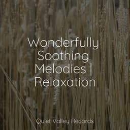 Wonderfully Soothing Melodies | Relaxation - Tailormade Ocean Waves