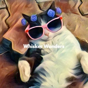 Whisker Wonders - Soothing Cat Music