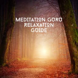 Stillness - Clayton Calm