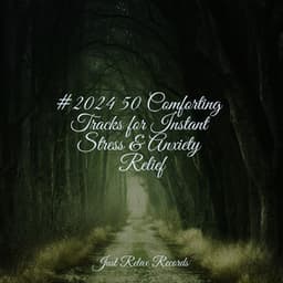 #2024 50 Comforting Tracks for Instant Stress & Anxiety Relief - Chakra Balancing Sound Therapy