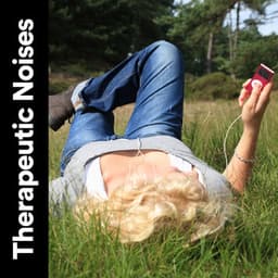 Therapeutic Noises - Deep Sleep White Noise