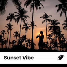 Sunset Vibe - Nature's Noise