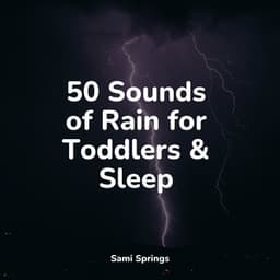 50 Sounds of Rain for Toddlers & Sleep - Ambient Arena