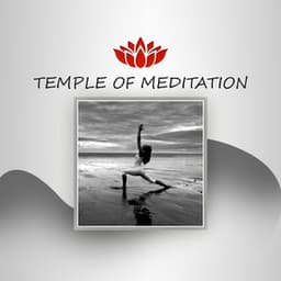 Temple of Meditation – Deep Water Sounds, Yoga Exercises, Healing Meditation, Soothing Nature Sounds, Music for Meditation, Reiki Music - Deep Meditation Music System