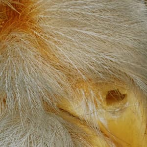 365 Complete Works 18 - Aidan O'Rourke