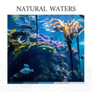 Natural Waters - Sundays By The Ocean