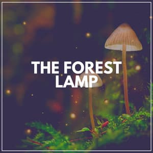 The Forest Lamp - Florida Nature