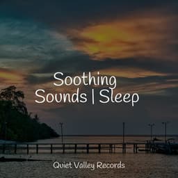 Soothing Sounds | Sleep - Música relaxante