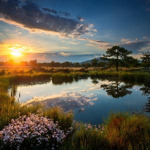 Vibraciones Tranquilas Lofi Para Una Noche De Descanso - Canción del Crepúsculo