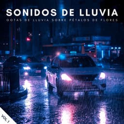 Sonidos De Lluvia: Gotas De Lluvia Sobre Pétalos De Flores Vol. 1 - Sonidos Naturaleza