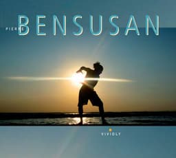 Vividly - Pierre Bensusan