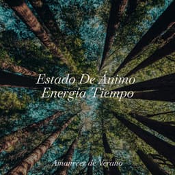 Estado De Ánimo Energía Tiempo - Guitarra Clásica Española