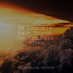 50 Loopable Rain Sounds for Complete Vibes - Bird Sounds