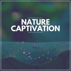 Nature Captivation - Nature Sound Series