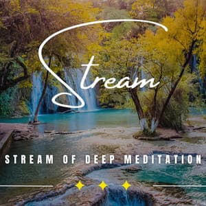 Stream of Tranquility: Binaural Meditation Journeys - The Water Sleepers