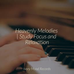 Heavenly Melodies | Study Focus and Relaxation - Jazz Piano Essentials