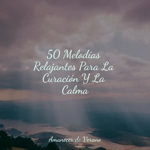 50 Melodías Relajantes Para La Curación Y La Calma - Meditation Relaxation Club