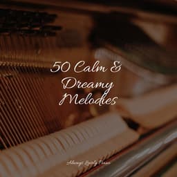 50 Tracks for Ultimate Deep Chillout and Healing - Relajante Música de Piano Oasis