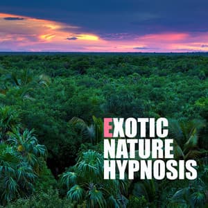Exotic Nature Hypnosis: Sounds of Wildlife for Relaxation - Calm Nature Oasis
