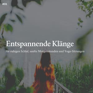 * Entspannende Klänge für ruhigen Schlaf, sanfte Morgenstunden und Yoga-Sitzungen * - Entspannungsmusik