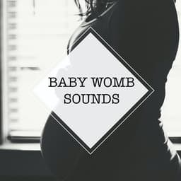 Baby Womb Sounds - Baby Womb Sounds