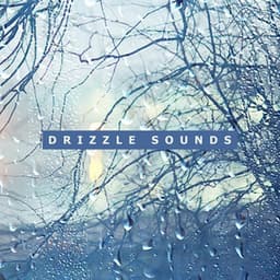 Drizzle Sounds: Relaxing Falling Rain to Deeply Relax and Fall Asleep - Calming Water Consort
