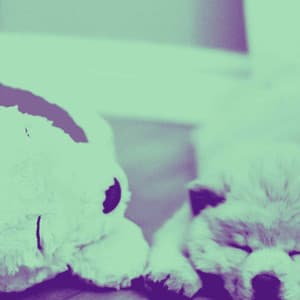 Backdrop for Classic Hounds - Spectacular Jazz Quintet - Calma Música para Perros