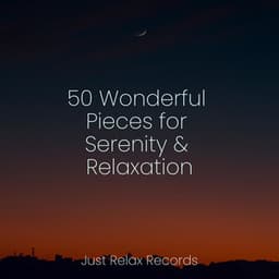 50 Wonderful Pieces for Serenity & Relaxation - Guided Meditation