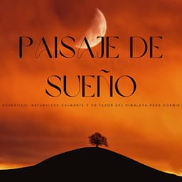 Paisaje De Sueño Desértico: Naturaleza Calmante Y Un Tazón Del Himalaya Para Dormir - Naturaleza Calma