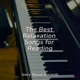 The Best Relaxation Songs for Reading - Ivory Mood